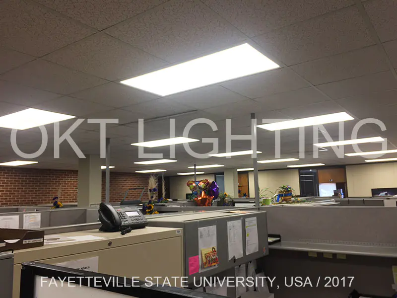 Fayetteville State University / 2017